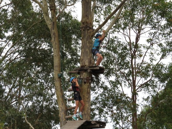 From a high platform they  zoom along the 'flying fox'